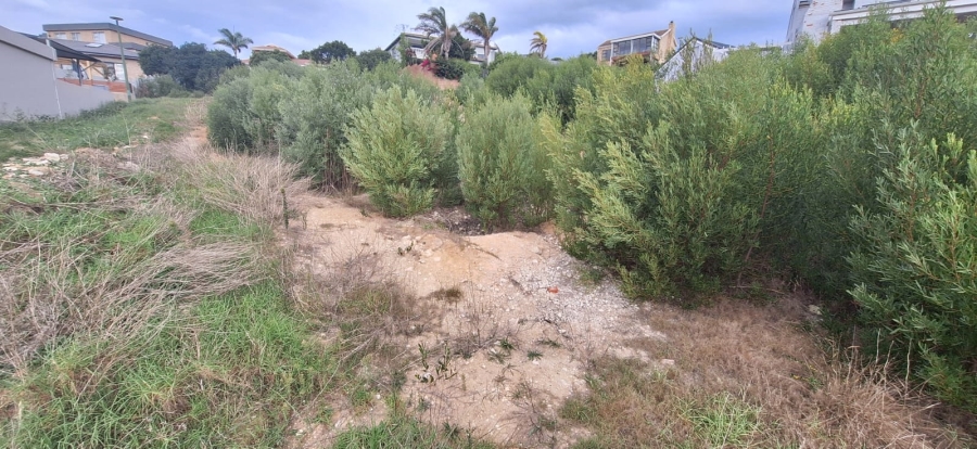 0 Bedroom Property for Sale in Bergsig Western Cape